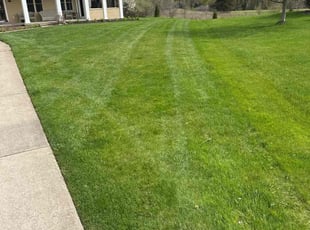 Desmond D.'s Lawn Mowing service result