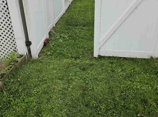 William B.'s Lawn Mowing service result