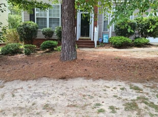 Bush Trimming by Nicholas Murphy for George S. in Columbia, SC
