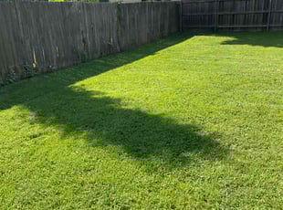 Michele A.'s Lawn Care service result