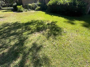 Azailee l.'s Lawn Maintenance service result