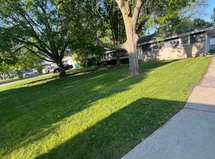 Daniel E.'s Lawn Maintenance service result