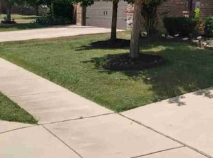 Maria H.'s Lawn Mowing service result