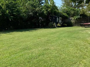 Sheila G.'s Lawn Mowing Service service result