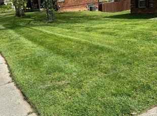 Jim H.'s Lawn Care service result