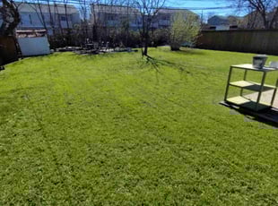 Rolfe F.'s Lawn Mowing service result