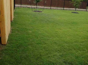 Stephanie D.'s Yard Cutting service result