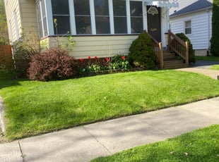 David L.'s Lawn Maintenance service result