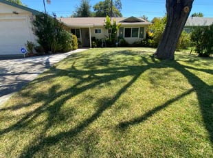 Tod P.'s Lawn Service service result