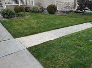 David H.'s Lawn Service service result