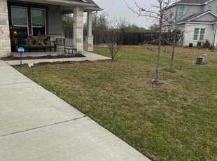 Chris B.'s Lawn Mowing service result