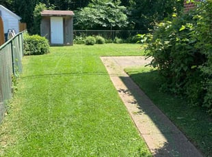 Carolyn S.'s Lawn Mowing Service service result
