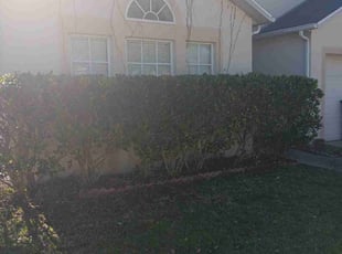 Bush Trimming by Terrence Johnson for Dylan B. in Jacksonville, FL