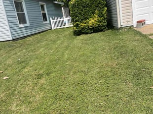 Bush Trimming by Stephanie Capps for Laura C. in Virginia Beach, VA