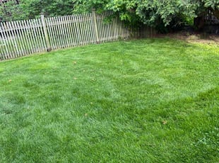 Patrick N.'s Lawn Care service result
