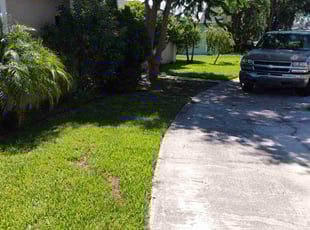 Bush Trimming by Daniel Serpa for Shelley S. in Lakeland, FL