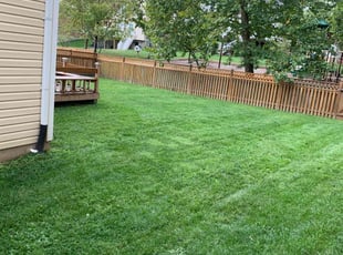 Shelita J.'s Lawn Mowing service result