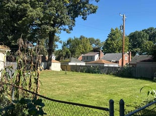 Jean T.'s Lawn Mowing Service service result