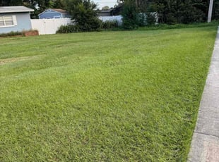 Diana G.'s Lawn Maintenance service result