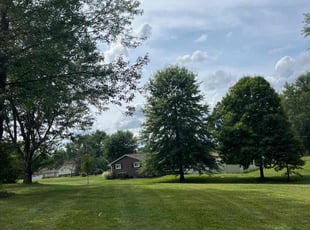 Mary D.'s Lawn Service service result