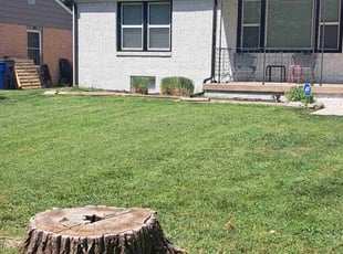 Bush Trimming by William Beacham for Yolanda B. in Wichita, KS