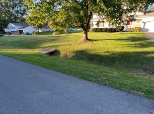 Phillip K.'s Lawn Maintenance service result