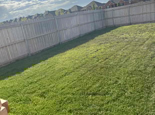 Shaun H.'s Lawn Mowing service result