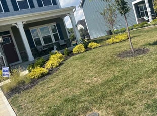 Artamease G.'s Lawn Mowing Service service result