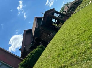 Chasity J.'s Lawn Care service result