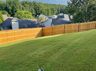 Dan M.'s Lawn Mowing service result