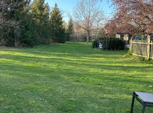 Jennifer R.'s Lawn Maintenance service result