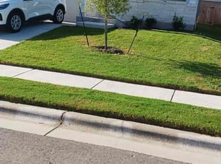 Rob M.'s Lawn Mowing service result