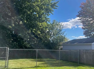 Anthony A.'s Lawn Mowing service result