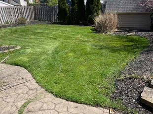 Shaquanda W.'s Lawn Maintenance service result