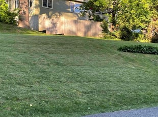 Paula H.'s Yard Cutting service result