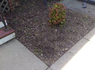 Landscaping by David Henley for Kaley E. in Richmond, VA