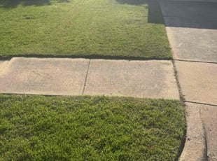Shanna S.'s Lawn Care service result