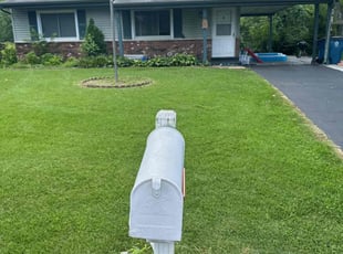 Michael D.'s Lawn Mowing service result