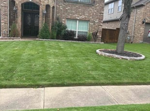 Nicole A.'s Grass Cutting service result
