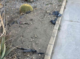 Cleanups by Enoc Espinoza for Nancy R. in Fontana, CA