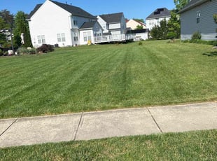 Kimberly D.'s Grass Cutting service result