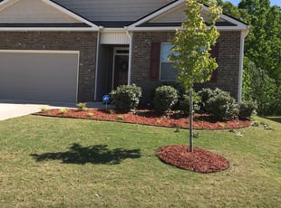 Bush Trimming by Johnny Coats for Dona G. in Atlanta, GA