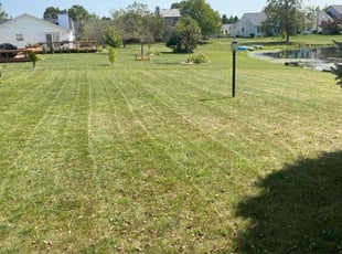 Charlotte F.'s Lawn Service service result