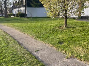 Donna E.'s Lawn Mowing Service service result
