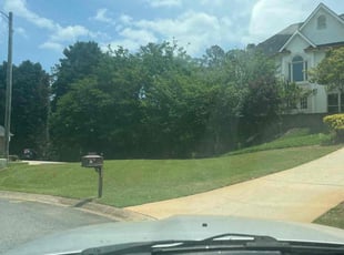 Andrew M.'s Lawn Mowing Service service result