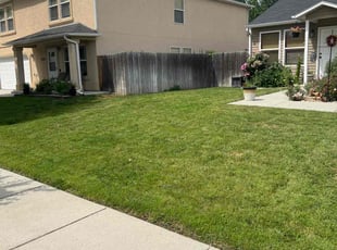 Spencer W.'s Yard Cutting service result