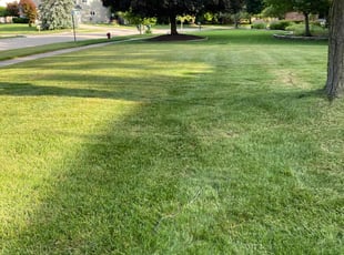 SangTaek l.'s Lawn Care service result