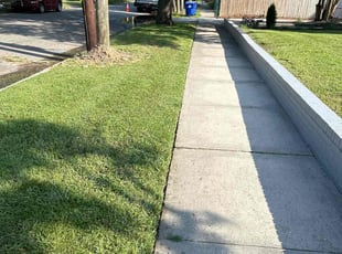 Vinesett T.'s Grass Cutting service result