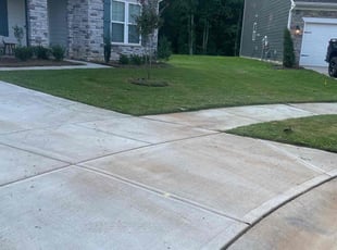 Richard J.'s Lawn Maintenance service result