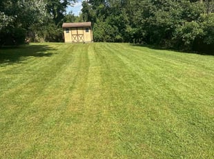 Bush Trimming by Edward Wilder for Mary S. in Clinton, MD